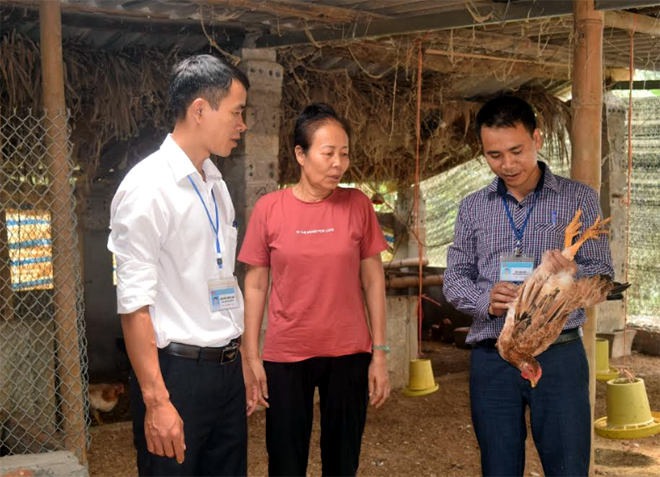 Lãnh đạo UBND xã, Hội Nông dân xã Minh Bảo trao đổi kinh nghiệm sản xuất với bà Phạm Thị Bình.
