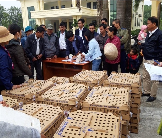 Tỉnh Ninh Bình bàn giao gà J-Dabaco hỗ trợ bà con nông dân, chăn nuôi.